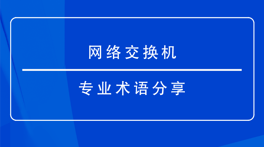 交换机专业术语分享