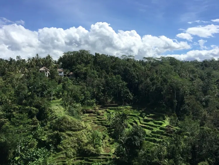 山区高清视频监控