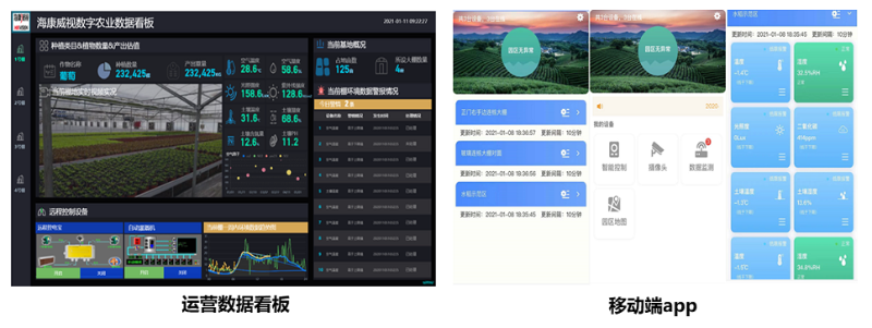 种植基地高清视频监控应用效果