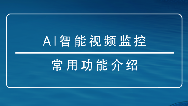 AI智能视频监控常用功能介绍